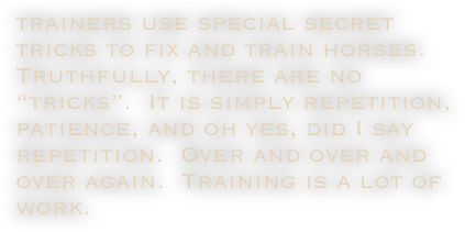 trainers use special secret tricks to fix and train horses. Truthfully, there are no “tricks”.  It is simply repetition, patience, and oh yes, did I say repetition.  Over and over and over again.  Training is a lot of work. 
