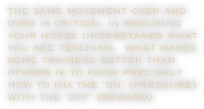 the same movement over and over is critical in ensuring your horse understands what you are teaching.  what makes some trainers better than others is to know precisely how to mix the ‘on’ (pressure) with the ‘off’ (reward).

