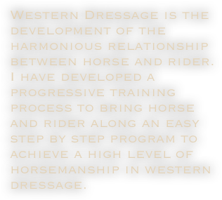 Western Dressage is the development of the harmonious relationship between horse and rider.
I have developed a progressive training process to bring horse and rider along an easy step by step program to achieve a high level of horsemanship in western dressage.
