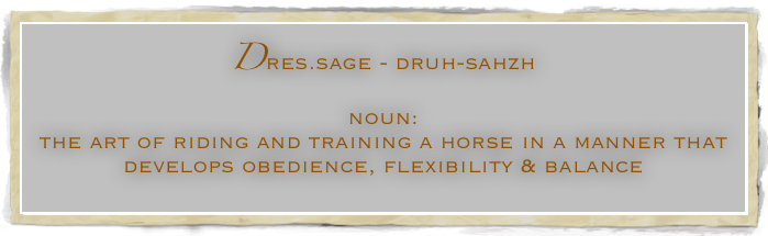 Dres.sage - druh-sahzh
noun: 
the art of riding and training a horse in a manner that develops obedience, flexibility & balance 
