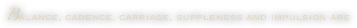 Balance, cadence, carriage, suppleness and impulsion are